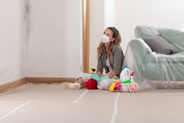 Reliable Mold Remediation contractor in Iselin, NJ by Cheap Mold Removal